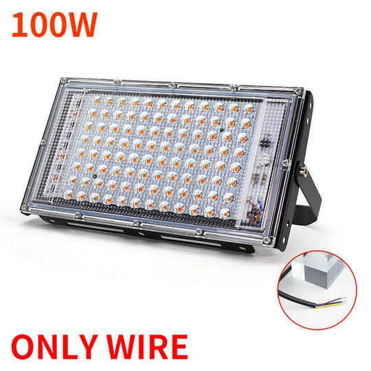 50W 100W 220V Outdoor Led Floodlight Full Spectrum LED Plant Growth Lamp Led Spotlight Projector Streetlight Led Grow Light