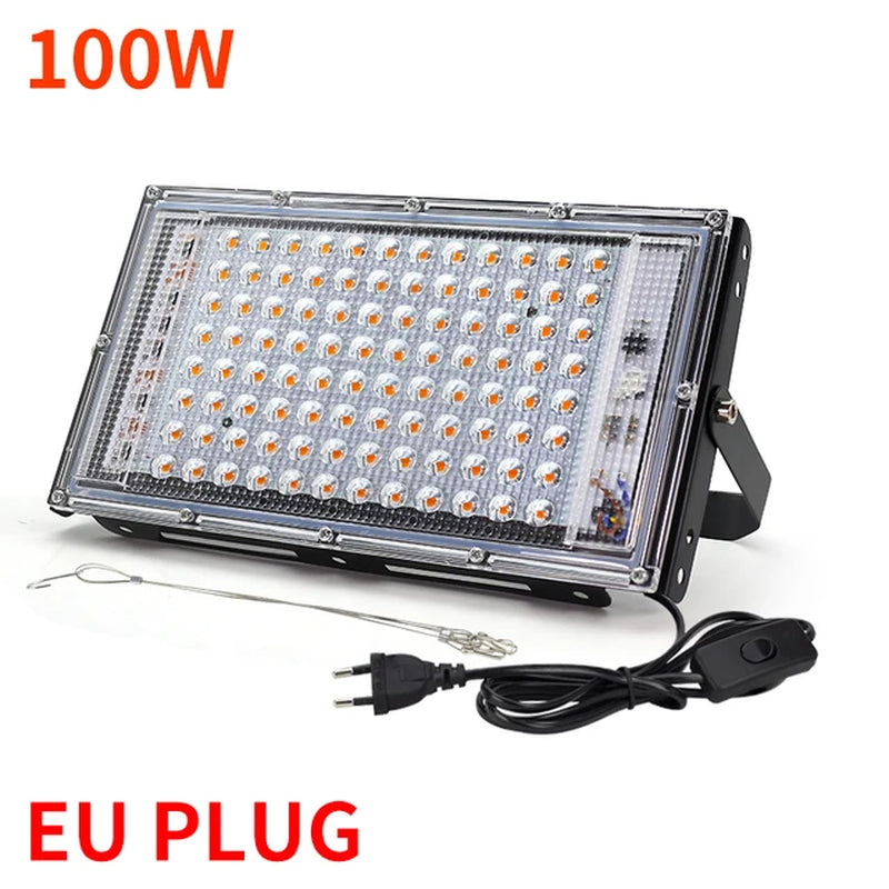 50W 100W 220V Outdoor Led Floodlight Full Spectrum LED Plant Growth Lamp Led Spotlight Projector Streetlight Led Grow Light