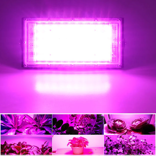 50W 100W 220V Outdoor Led Floodlight Full Spectrum LED Plant Growth Lamp Led Spotlight Projector Streetlight Led Grow Light