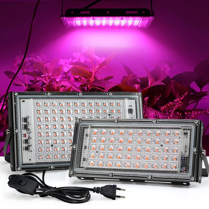 50W 100W 220V Outdoor Led Floodlight Full Spectrum LED Plant Growth Lamp Led Spotlight Projector Streetlight Led Grow Light