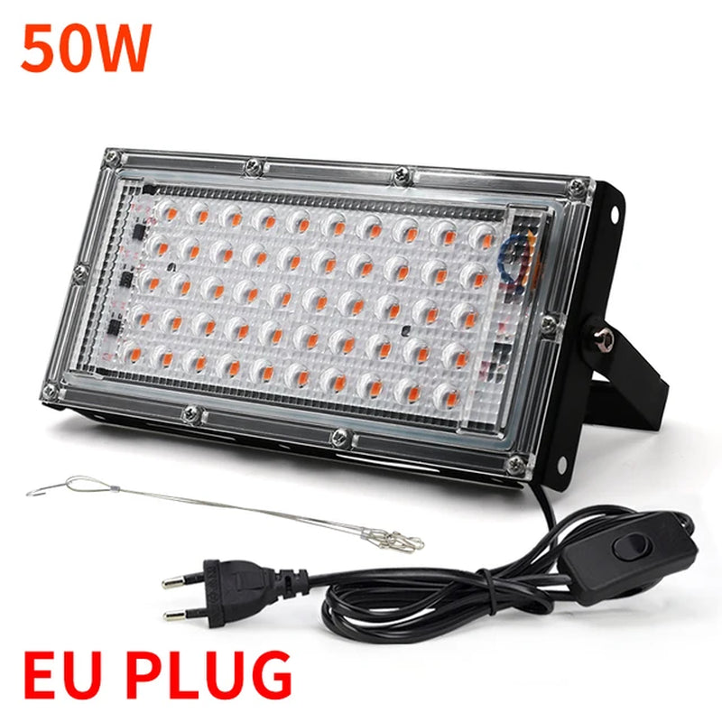 50W 100W 220V Outdoor Led Floodlight Full Spectrum LED Plant Growth Lamp Led Spotlight Projector Streetlight Led Grow Light