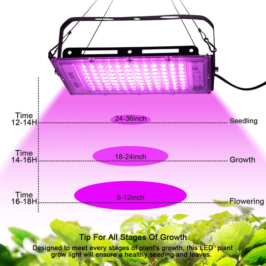 50W 100W 220V Outdoor Led Floodlight Full Spectrum LED Plant Growth Lamp Led Spotlight Projector Streetlight Led Grow Light